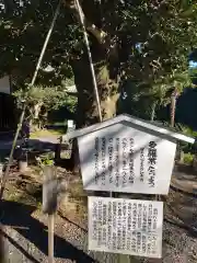 慈光寺の歴史