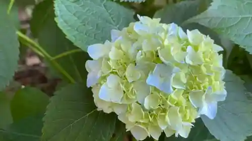 坪沼八幡神社の自然