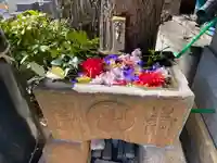 菊名神社の手水舎