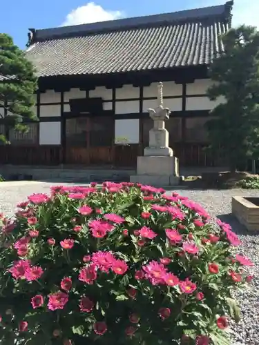 長松院の庭園