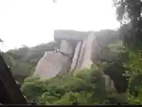 沖ノ神島神社の自然