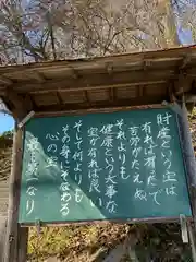 身照寺の建物その他