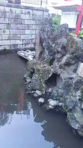 開運出世稲荷(延命院境内社)の自然