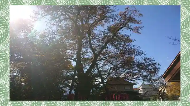 秩父今宮神社(埼玉県)