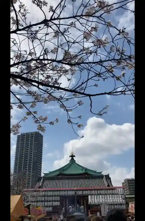 寛永寺不忍池弁天堂の{uncategorized: "未分類", other: "その他", undefined: "問題あり", building: "その他建物", grave: "お墓", sacred_gate: "鳥居", guardian: "狛犬", statue: "像", buddha: "仏像", history: "歴史", nature: "自然", garden: "庭園", animal: "動物", pagoda: "塔", temizu: "手水舎", mountain_gate: "山門・神門", sanctuary: "本殿・本堂", subordinate: "末社・摂社", art: "芸術", scenery: "景色", jizo: "地蔵", ema: "絵馬", goshuin: "御朱印", omikuji: "おみくじ", items: "授与品その他", amulet: "お守り", goshuincho: "御朱印帳", eats: "食事", festival: "お祭り", votive_dance: "神楽", shichigosan: "七五三参", wedding: "結婚式", experience: "体験その他", initially: "初詣", around: "周辺", anti_infection: "感染症対策"}