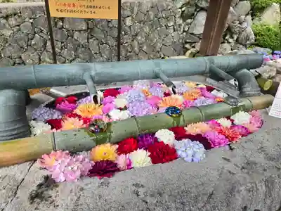 岡寺(龍蓋寺)(奈良県)