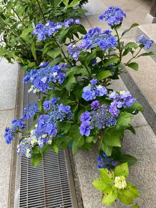 松嶺院(神奈川県)