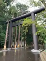 北海道神宮の鳥居