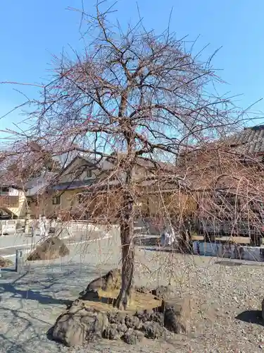 東持寺(茨城県)