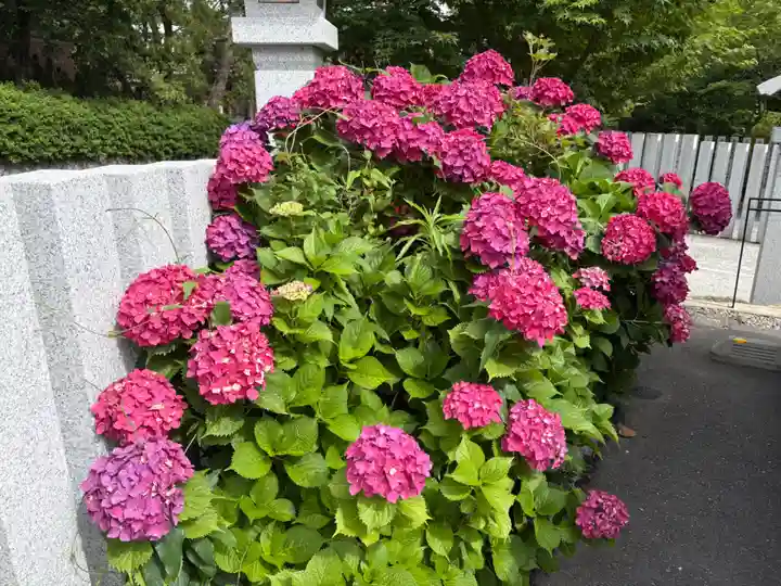 芦屋神社(兵庫県)