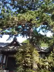 玄国寺(東京都)