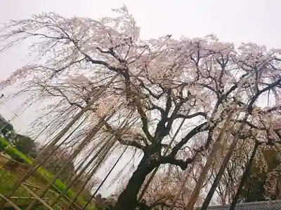 慈眼寺(埼玉県)