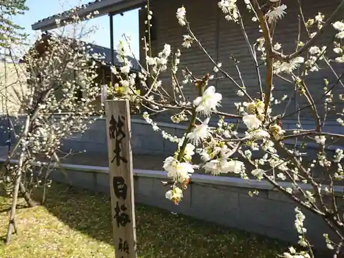 小松天満宮の庭園