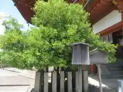 興福寺 南円堂の建物その他