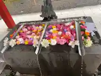 美濃國一宮 南宮大社の{uncategorized: "未分類", other: "その他", undefined: "問題あり", building: "その他建物", grave: "お墓", sacred_gate: "鳥居", guardian: "狛犬", statue: "像", buddha: "仏像", history: "歴史", nature: "自然", garden: "庭園", animal: "動物", pagoda: "塔", temizu: "手水舎", mountain_gate: "山門・神門", sanctuary: "本殿・本堂", subordinate: "末社・摂社", art: "芸術", scenery: "景色", jizo: "地蔵", ema: "絵馬", goshuin: "御朱印", omikuji: "おみくじ", items: "授与品その他", amulet: "お守り", goshuincho: "御朱印帳", eats: "食事", festival: "お祭り", votive_dance: "神楽", shichigosan: "七五三参", wedding: "結婚式", experience: "体験その他", initially: "初詣", around: "周辺", anti_infection: "感染症対策"}