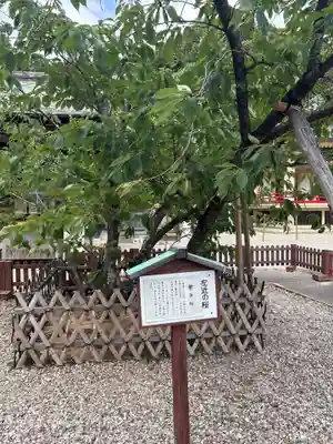 上地八幡宮(愛知県)