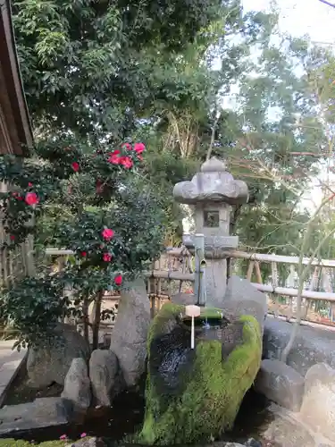 紅葉八幡宮(福岡県)