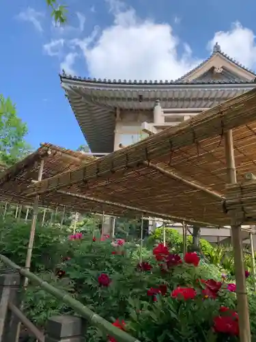 東長谷寺　薬王院の庭園