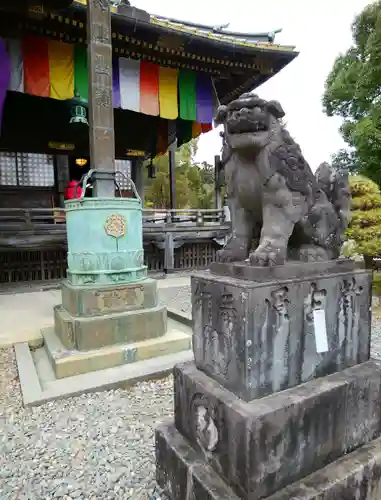 成田山新勝寺の狛犬