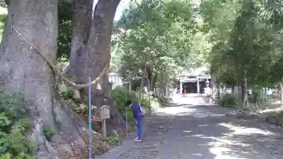 細江神社(静岡県)
