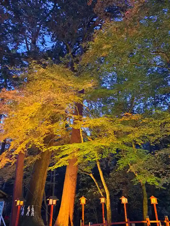 日吉大社(滋賀県)