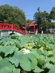 青井阿蘇神社(熊本県)