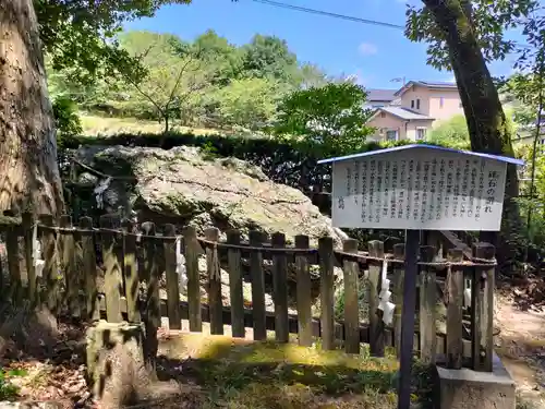 土佐神社の自然