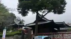 狭山八幡神社(埼玉県)