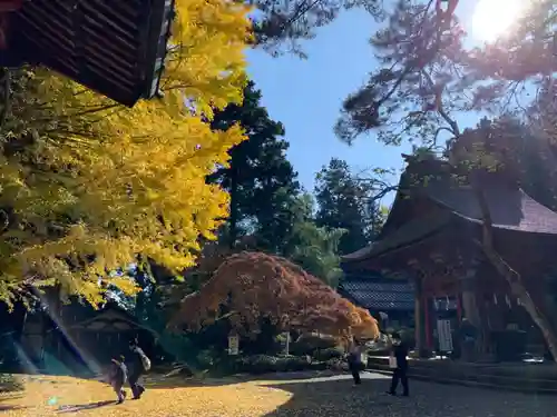 北口本宮冨士浅間神社の自然