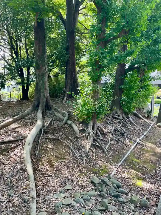 金毘羅神社(東京都)