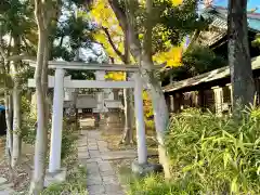 荏原神社の鳥居