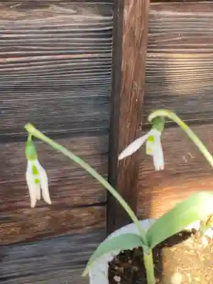 妙蓮寺(神奈川県)