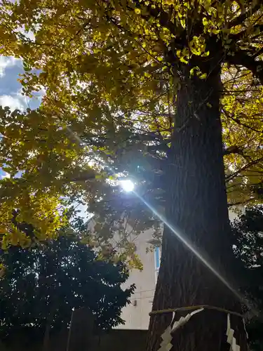 一山神社(埼玉県)