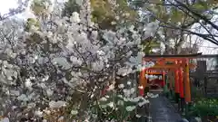 平野神社の自然