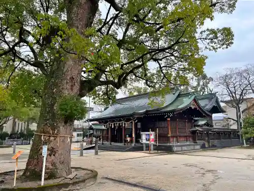 佐賀縣護國神社(佐賀県)