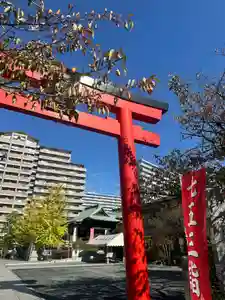 亀戸浅間神社(東京都)(2024年11月09日(土) 19時59分28秒投稿)
