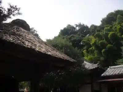 円応寺の本殿・本堂