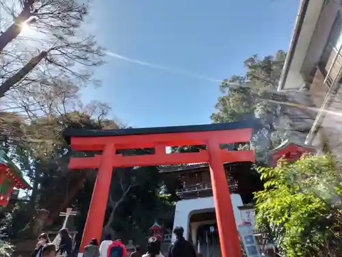 江島神社の鳥居