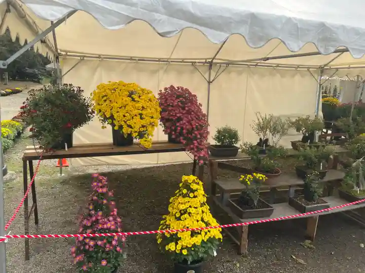 那須神社(栃木県)