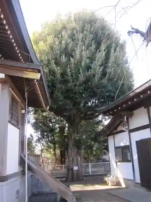 駒形神社(千葉県)