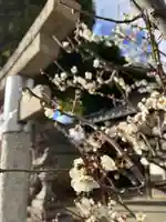 天満宮(京都府)