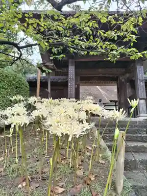 横浜　西方寺(神奈川県)