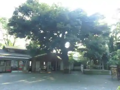 座間神社のその他建物