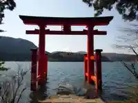 箱根神社の鳥居
