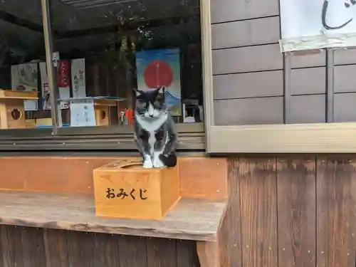 八幡社（柏井町）の動物