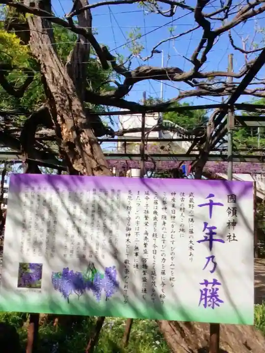 國領神社(東京都)