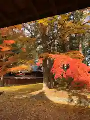 都々古別神社(八槻)の庭園