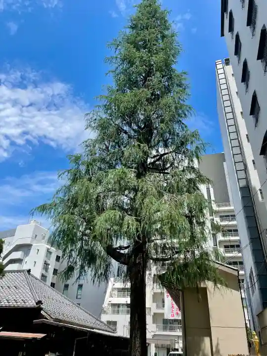 髙福院(東京都)