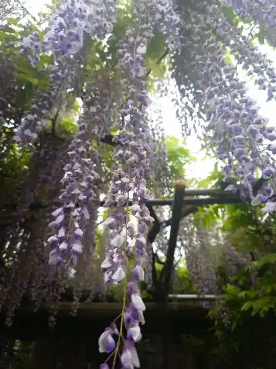 箭弓稲荷神社の{uncategorized: "未分類", other: "その他", undefined: "問題あり", building: "その他建物", grave: "お墓", sacred_gate: "鳥居", guardian: "狛犬", statue: "像", buddha: "仏像", history: "歴史", nature: "自然", garden: "庭園", animal: "動物", pagoda: "塔", temizu: "手水舎", mountain_gate: "山門・神門", sanctuary: "本殿・本堂", subordinate: "末社・摂社", art: "芸術", scenery: "景色", jizo: "地蔵", ema: "絵馬", goshuin: "御朱印", omikuji: "おみくじ", items: "授与品その他", amulet: "お守り", goshuincho: "御朱印帳", eats: "食事", festival: "お祭り", votive_dance: "神楽", shichigosan: "七五三参", wedding: "結婚式", experience: "体験その他", initially: "初詣", around: "周辺", anti_infection: "感染症対策"}