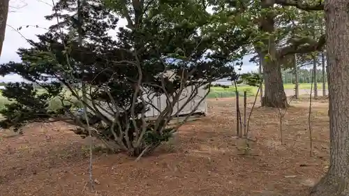 出雲神社の自然